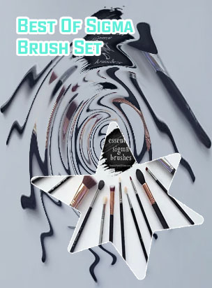 The best sigma brushes