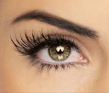 where to buy idol lash